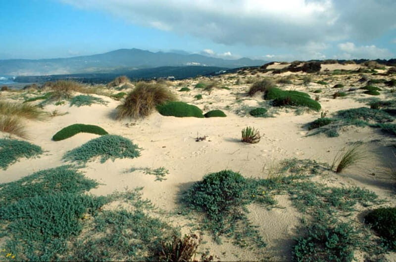 Sintra Cascais Top trekking - Who Should Consider This Trek?