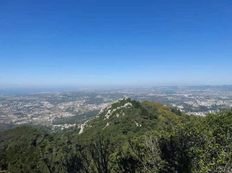 Sintra: Enchanting Palaces & Scenic Landscapes Tour - Exploring Sintra: What to Expect