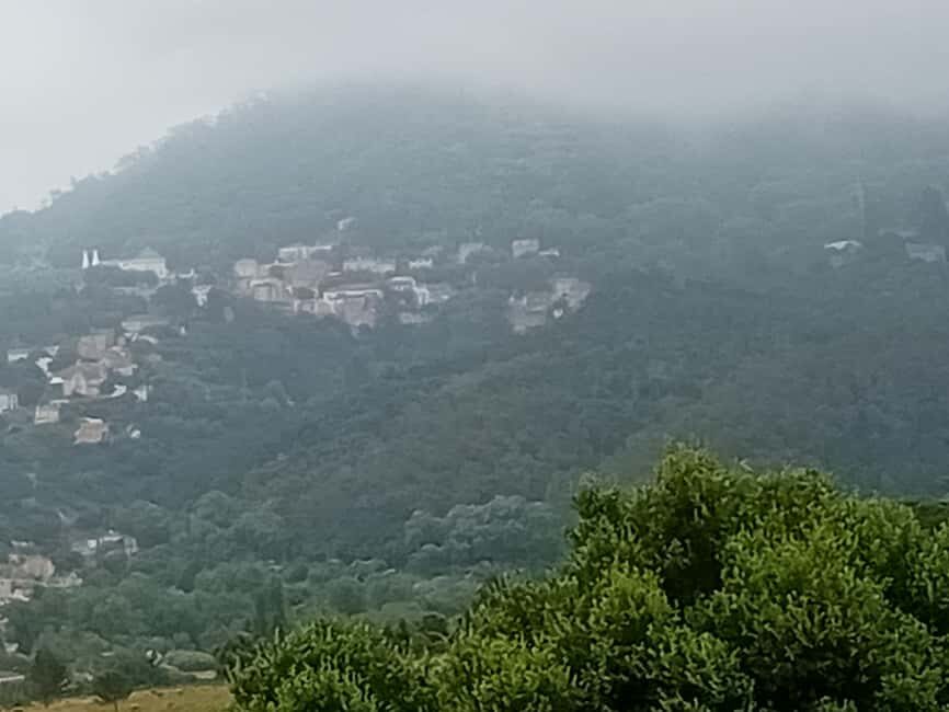 Sintra Mystic Forest Journey: Guided Tour in a Convertible. - Why Choose This Tour?