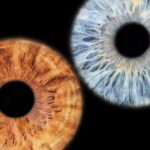 Siracusa Iris Photography Experience - Who Is This Tour Best For?