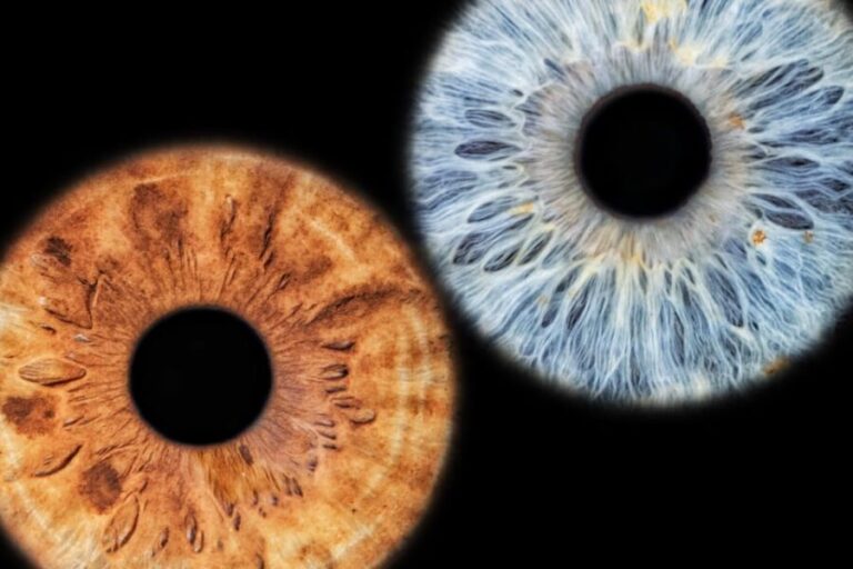 Siracusa Iris Photography Experience - Who Is This Tour Best For?