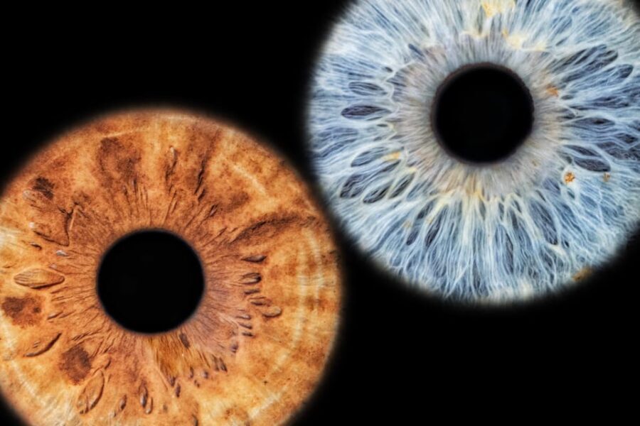 Siracusa Iris Photography Experience - Who Is This Tour Best For?