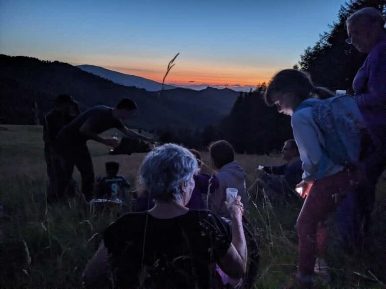 Sisteron: tour of the town through the mountains (sunset/nighttime) - Who Would Love This Experience?