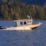 Sitka: Premiere Whale Watching and Wildlife Tour - An In-Depth Look at the Tour Experience