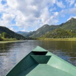 Skadar Lake Boat Tour with Transfer from Podgorica - Why This Tour Offers Great Value