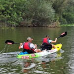 Skadar Lake kayak rent: A Journey Through Tranquility - Practical Details and Tips for Paddlers