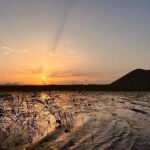 Skadar Lake Private Boat Tour with Wine Tasting - What Makes This Tour Valuable?