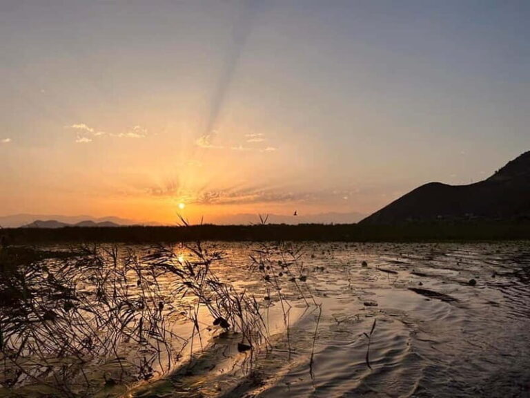 Skadar Lake Private Boat Tour with Wine Tasting - What Makes This Tour Valuable?