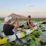 Skadar Lake: Self-Guided Bird Tour & Kayak Rental - The Sum Up