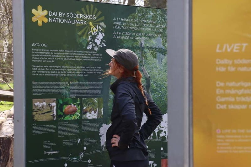 Skåne: guided hike in national park incl lunch close to Lund - Detailed Breakdown of the Tour