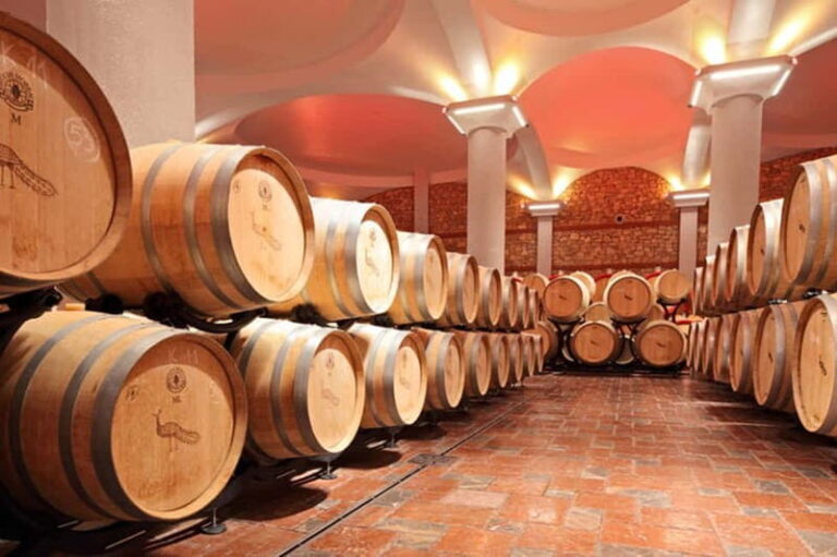 Skopje: Half-Day Stobi Wine Tour - What Makes This Tour Special?