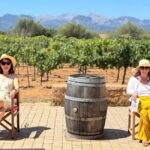 Small group- Exclusive Olive Oil & Wine Tour Mallorca - The Sum Up: Who Will Love This Tour?
