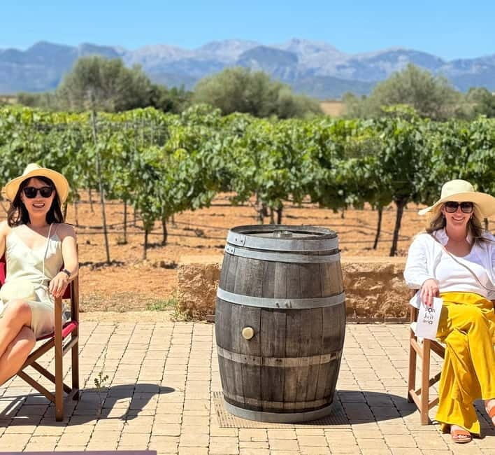 Small group- Exclusive Olive Oil & Wine Tour Mallorca - The Sum Up: Who Will Love This Tour?