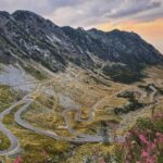 Small group max 7 - Bears Safari on Top Gear -Transfgran - The Value of the Experience