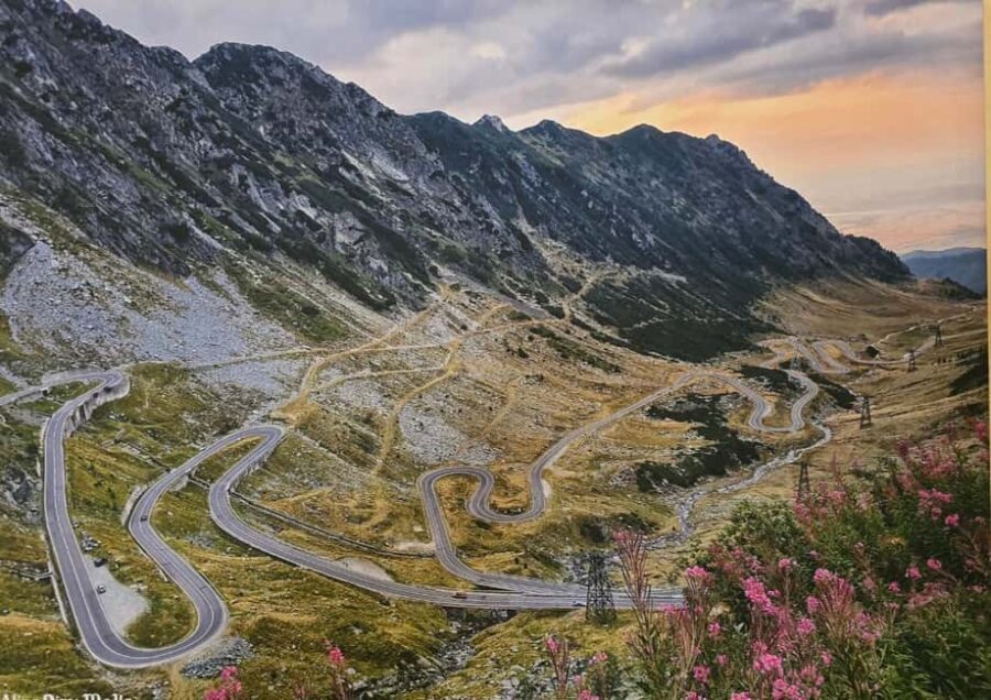 Small group max 7 - Bears Safari on Top Gear -Transfgran - The Value of the Experience