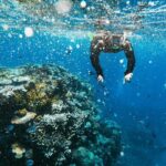 Snorkeling Adventure in La Jolla - The Value of the Experience