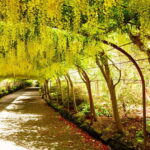 Snowdonia: Snowdonia, Bodnant Gardens & Castles Private Tour - Historic Castles and Medieval Charm