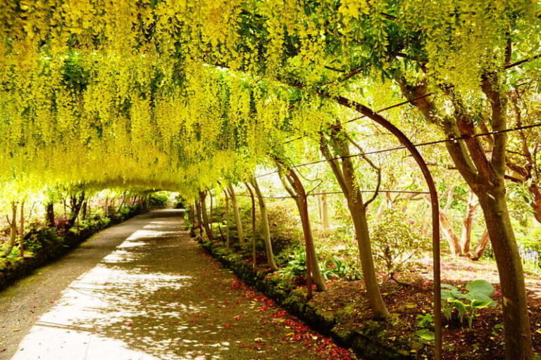 Snowdonia: Snowdonia, Bodnant Gardens & Castles Private Tour - Historic Castles and Medieval Charm