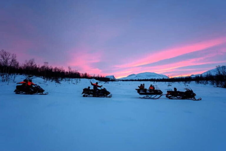 Snowmobile Adventure Abisko (Drive your own) - Authentic Experiences and Review Highlights