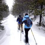 Snowshoe Adventure Frozen Falls and Firelight Tour - Who Will Appreciate This Tour?