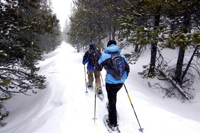 Snowshoe Adventure Frozen Falls and Firelight Tour - Who Will Appreciate This Tour?