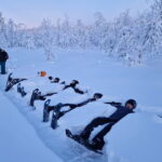 Snowshoe in a Winter Forest - Detailed Breakdown of the Itinerary