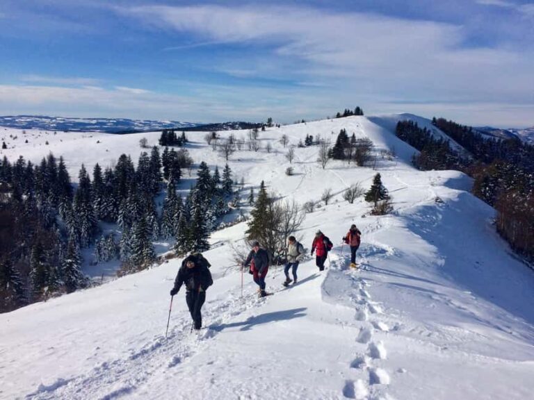 Snowshoeing on the Lure mountain - What Makes This Snowshoeing Tour in Lure Mountain Special?
