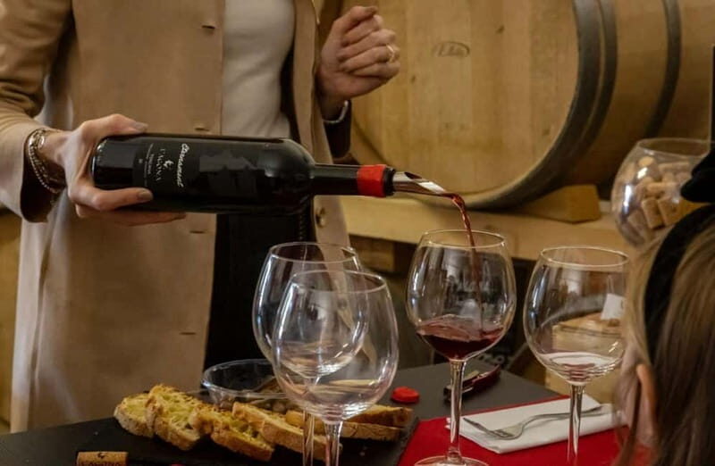 Soiana: Vineyard & Cellar Tour with Wine Tasting near Pisa - The Wine Tasting Experience