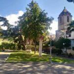 Sorrento Half Day with a local: Art and Flavours - Exploring the Itinerary: What Youll Experience