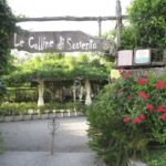 Sorrento: Lemon Garden Guided Tour with Tastings - Who Should Consider This Tour?