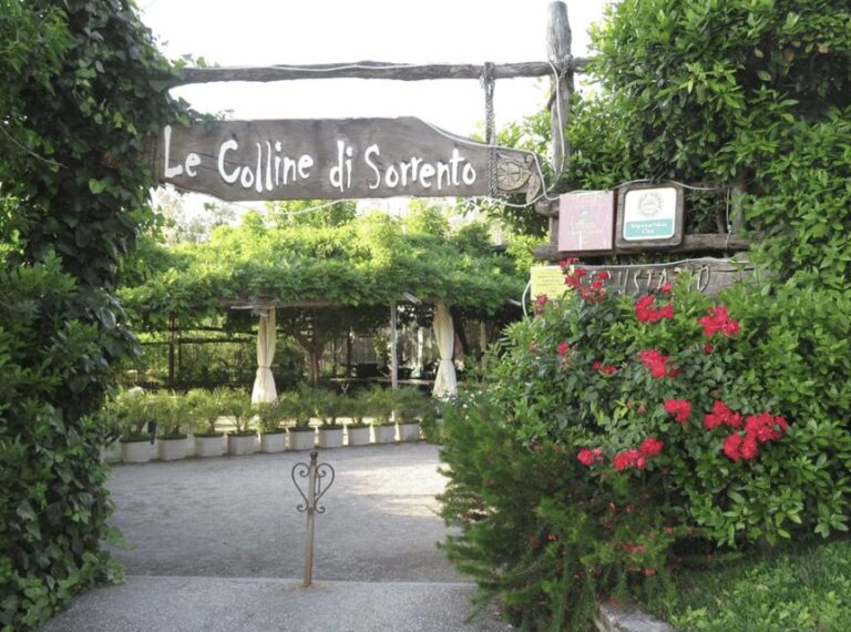 Sorrento: Lemon Garden Guided Tour with Tastings - Who Should Consider This Tour?