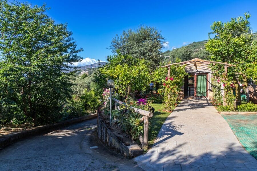 SORRENTO: Sunset Limoncello Making After-Dinner Experience - FAQs