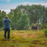 Sortland: Guided Arctic Moose Safari by Car - The Itinerary Breakdown