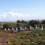 South Stack Holyhead - Hike - Practical Details and Value