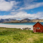 Special Summer Cruise Bus Tour of Lofoten - Transportation & Group Experience