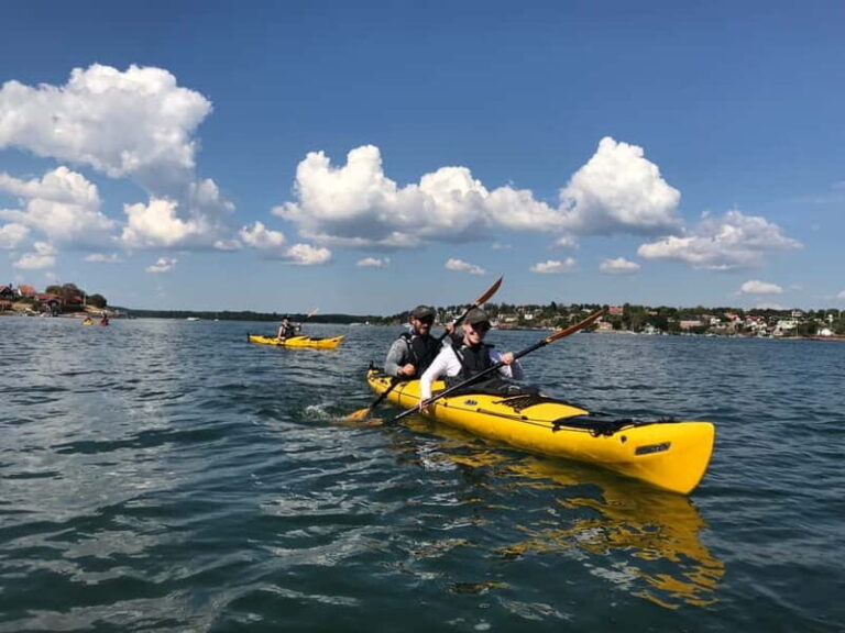 Stockholm Archipelago: Fun-Day Kayaking with Island Lunch - What Makes This Tour Stand Out?