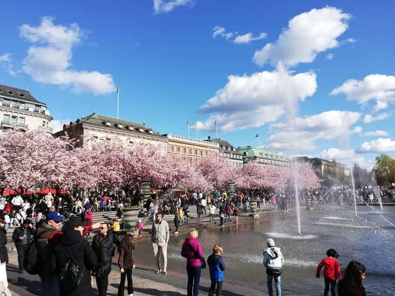 Stockholm: Scandinavian Architecture & Design Ostermalm Tour - What’s Included and Practicalities