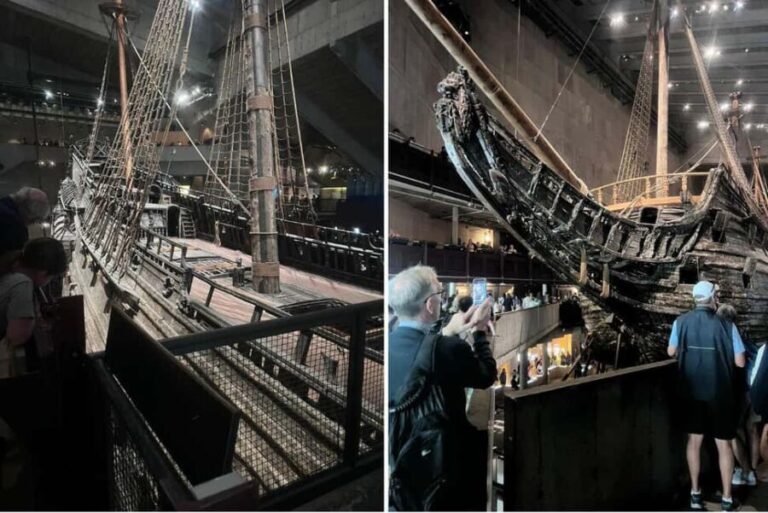 Stockholm: Vasa Museum, Vrak & Canal Live Guided Boat Tour - Practical Details and Logistics