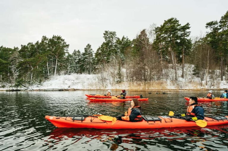 Stockholm: Winter Kayaking, Swedish Fika, and Hot Sauna - Who Is This Tour Best For?