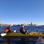Stockholm: Winter Kayaking Tour through the City Centre - What Makes This Tour Special?