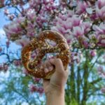 Strasbourg, culinary city tour with tastings in the new town - An In-Depth Look at the Tour Experience