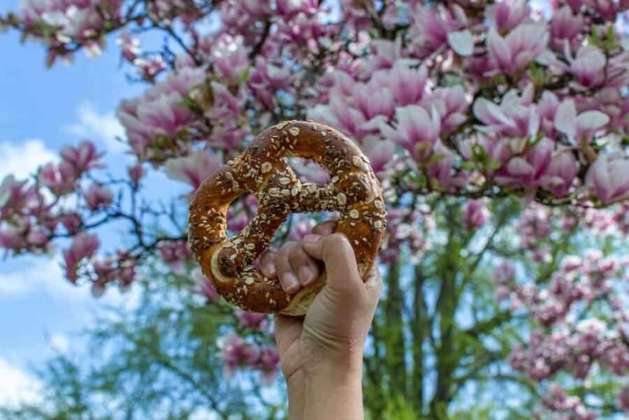 Strasbourg, culinary city tour with tastings in the new town - An In-Depth Look at the Tour Experience
