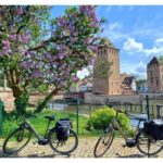 Strasbourg E-Bike Essentials - Top Sights in 2h30 - What To Expect From the Experience