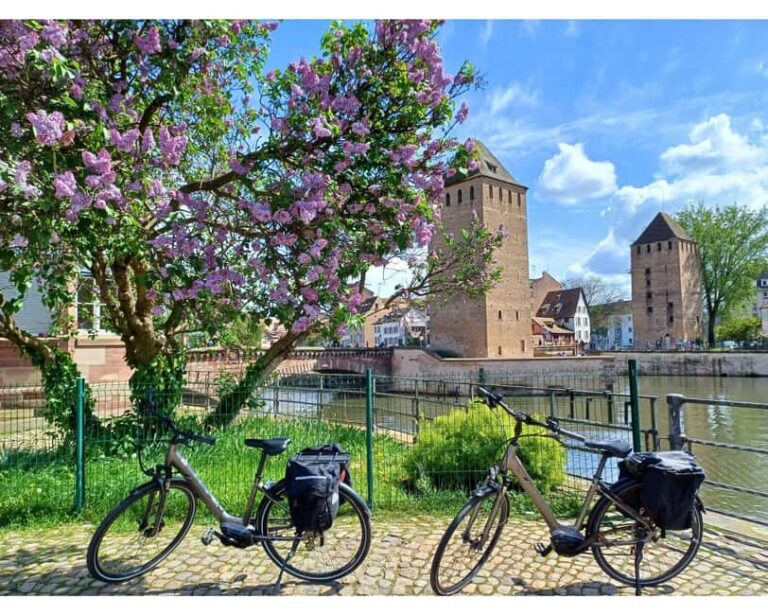 Strasbourg E-Bike Essentials - Top Sights in 2h30 - What To Expect From the Experience