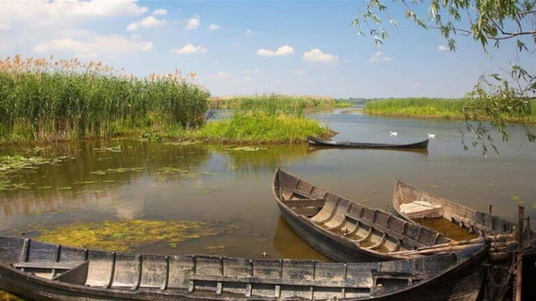 Sulina: Mila 23 Village Boat Trip in the Danube Delta - Practical Details and Value