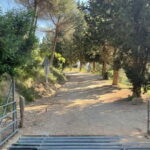 Sunrise at Tibidabo + local breakfast with views - Practical Details: What to Know Before You Go