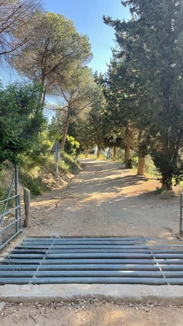 Sunrise at Tibidabo + local breakfast with views - Practical Details: What to Know Before You Go