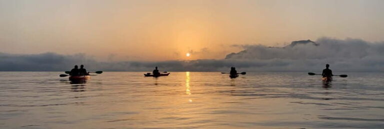 Sunrise Kayak Tour with Snorkeling and Coffee Experience - Why This Tour Offers Great Value
