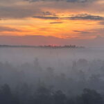 Sunrise Tour To Great Kemeri Bog - The Experience’s Strengths and Considerations