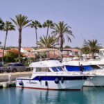 Sunset Dolphin Watching Tour on Hybrid Boat in Small Group - Introduction: A Gentle Sunset Adventure You’ll Remember